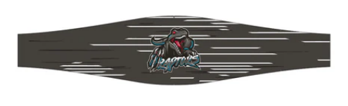 Raptors - Headbands